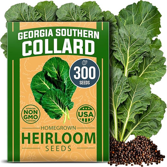 HOME GROWN Collard Greens Georgia Southern - 300 High Germination Heirloom Seeds for Planting in Your Vegetable Garden (Brassica oleracea)