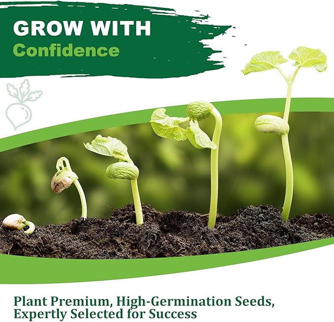 TKE Farms & Gardens - Cucamelon Seeds for Planting, 75 Heirloom Non GMO Seeds, Mexican Sour Gherkin Mouse Melon, Delicious Mini Fruits, Easy to Grow, Includes Instructions, Rare Garden Seeds, 1 Pack