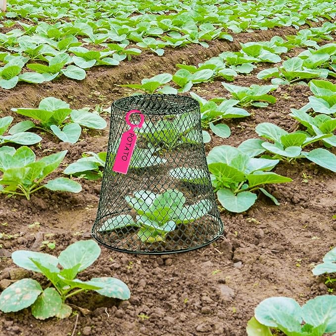 40 Pcs 9 inch Chicken Wire Plant Covers Bulk,Wire Garden Cloches Chicken Wire Cloche Plant Protector Metal Heavy Duty Garden Plant Cloche for Keeping Bunnies Chicken Squirrels Birds Other Out