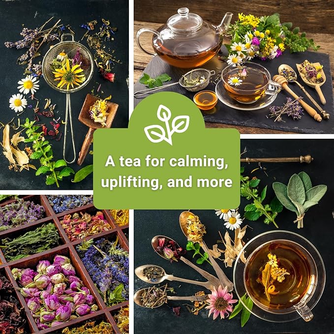 Sow Right Seeds - Herbal Tea Collection - Lemon Balm, Chamomile, Mint, Lavender, Echinacea Herb Seed for Planting; Non-GMO Heirloom Seed, Instructions to Plant Indoor or Outdoor; Gardening Gift