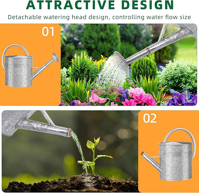 2.5 Gallon Ellipse Decorative Countryside Style Water Can with Removable Spout, Galvanized Watering Can for Outdoor Indoor Plants, Metal Watering Can for Indoor Plants and Garden Flower