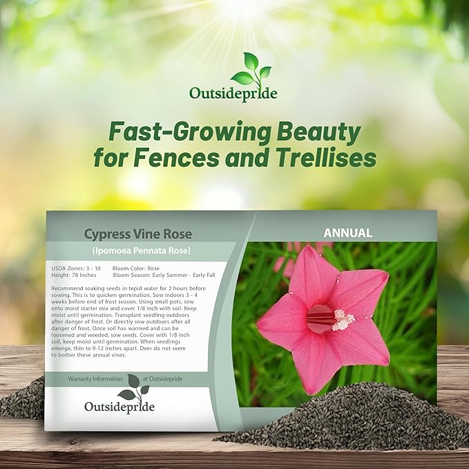 Outsidepride Rose Cypress Vine Seeds - 200 Pcs Annual Flower Seeds with Nectar-Rich, Star-Shaped Flowers & Feathery, Fern-Like Leaves for Fences, Trellises, Pergolas & Vertical Gardens