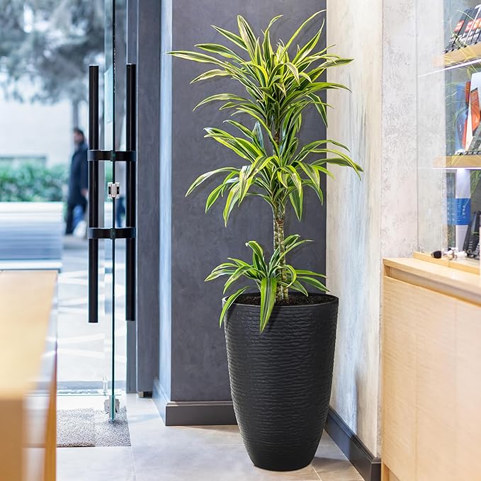 KOL 2-Pack 21in. Tall Plastic Planter - Large Round Tapered Plant Pots with Textured Finish - Black Imitation Stone Looking Big Flower Pots for Indoor & Outdoor Plants - Lightweight and Durable