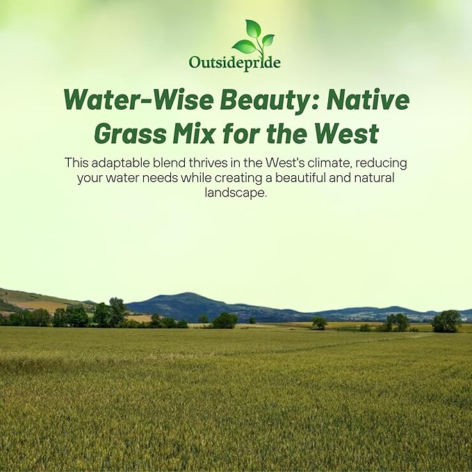 Outsidepride Western Native Grass Seed Mix - 1 lb. Perennial Blend of Warm & Cool Season, Drought Tolerant Grass Seed for Natural Landscaping w/Wildflower, Soil Health Improvement & Erosion Control