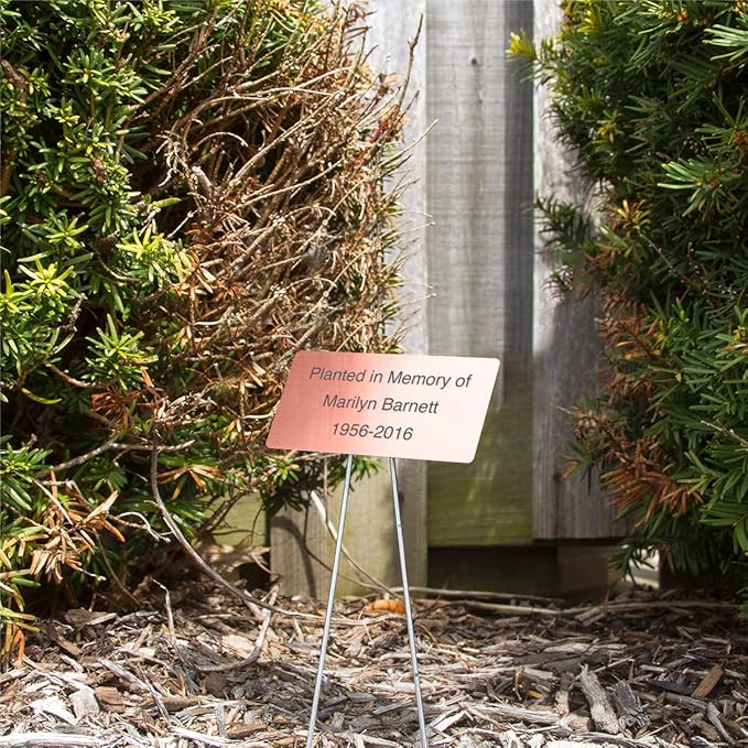 Outdoor Metal Garden Sign, Label, or Memorial. 4 x 2" or 6 x 4" sign with rounded corners and a 10" stake. Materials Include: Stainless Steel, Brass, Copper, Bronze and Titanium. (Copper, 4 x 2")