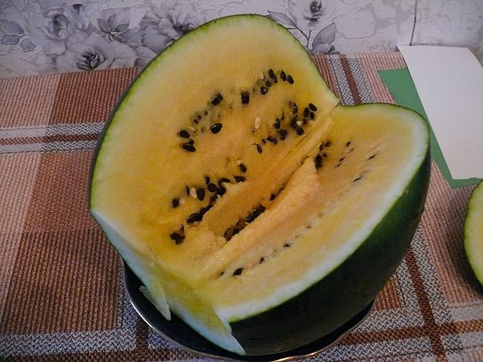 Seeds Yellow Watermelon 11 lbs - Fruits for Planting - GMO Free