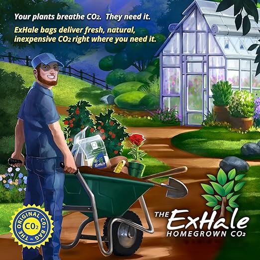 ExHale Homegrown CO2 Micro (2 Pack) - CO2 Bags for Indoor Grow Rooms & Tents - CO2 for Grow Tents - Foliage Mushroom Bags - 1.5 lbs. Each
