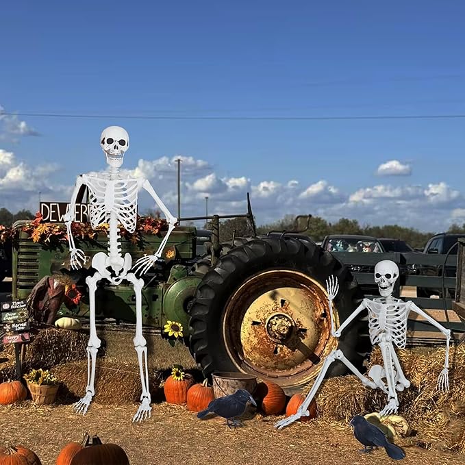 5.4ft/165cm Halloween Skeleton with Realistic Crows Full Body Plastic Human Bones with Movable Joints for Indoor Outdoor Halloween Decor