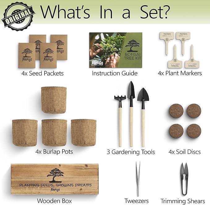 Avergo Bonsai Tree Kit – 4X Unique Japanese Bonzai Trees | Complete Indoor Starter Kit for Growing Bonsai Plants with Tools & Planters – Gardening Gifts for Women & Men