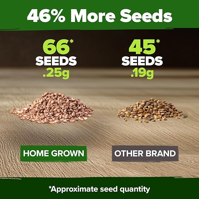 HOME GROWN San Marzano Tomato Seeds – 66 Heirloom Seeds Non GMO – High Germination Tomatoes for Indoor & Outdoor Growing – Classic Paste Variety for Gardeners & Home Use