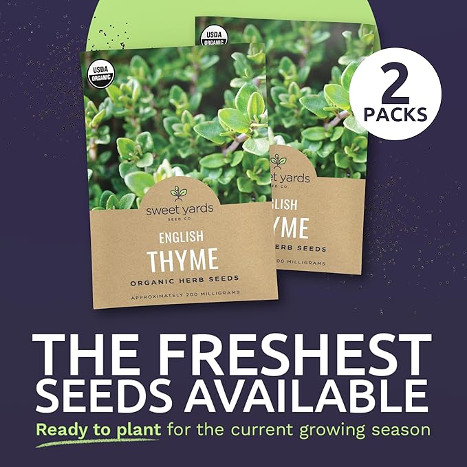 Organic English Thyme Seeds – Two Seed Packets! – Over 1,400 Open Pollinated Non-GMO Seeds – Sweet Yards Seed Co.