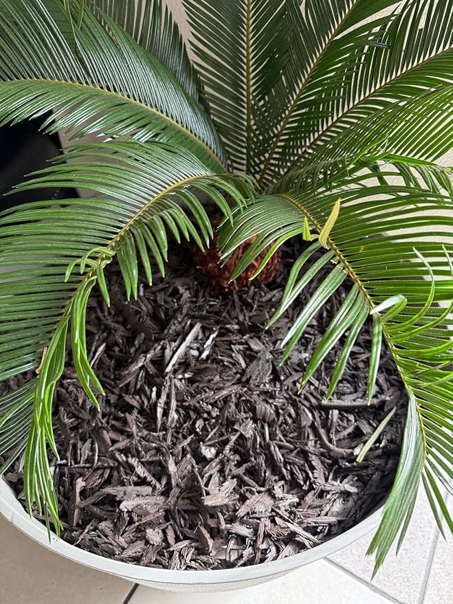 – 100% Wire-Free Premium Grade Shredded Rubber Mulch for Playgrounds & Landscaping | Safe for Kids & Pets, No Replacement Needed, Ultra Durable | Brown, 20 lb (1.2 cu ft)