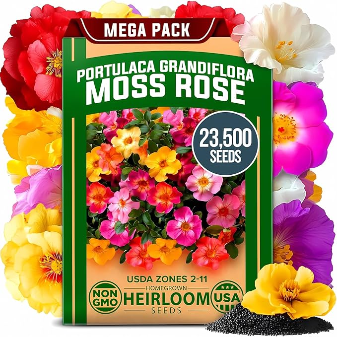 HOME GROWN 23,500+ Moss Rose Seeds (Bulk Pack) Annual Flower for Ground Cover - Heirloom Non GMO Portulaca Seeds for Planting Outdoors - Great for Low-Maintenance Gardens (Portulaca grandiflora)