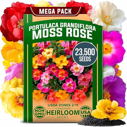 HOME GROWN 23,500+ Moss Rose Seeds (Bulk Pack) Annual Flower for Ground Cover - Heirloom Non GMO Portulaca Seeds for Planting Outdoors - Great for Low-Maintenance Gardens (Portulaca grandiflora)