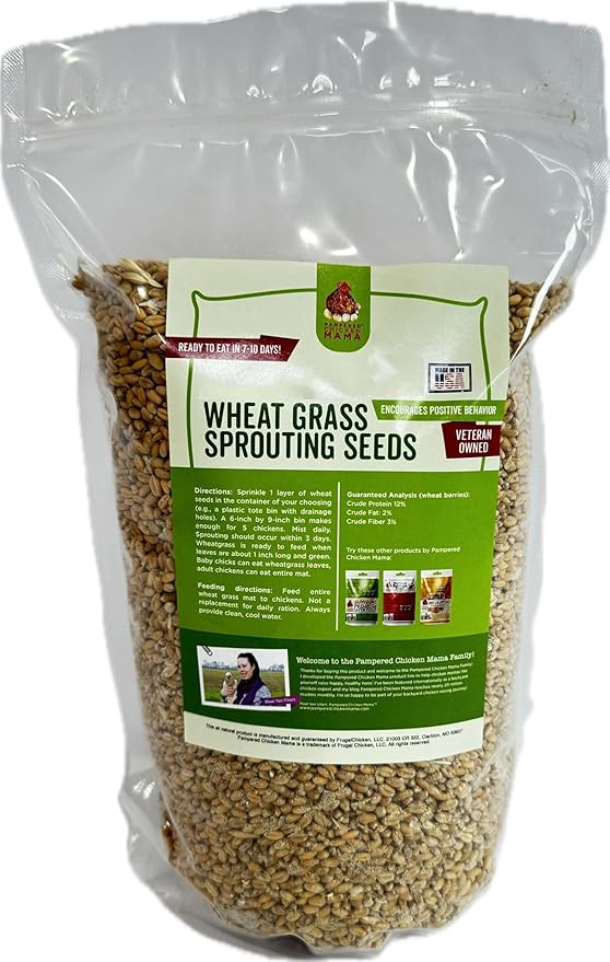Fodder Seeds for Chickens (3 pounds), Pasture Grass Seed, Wheat Grass Seeds for Growing, Wheat Seeds for Fodder | Pampered Chicken Mama