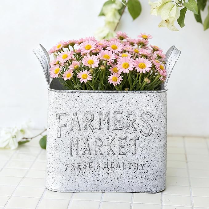 Vintage Metal Flower Planter Buckets with Handle Set of 2 Rustic Metal Flower Pots Farmhouse Plant Containers for Herb Succulent, Indoor Outdoor Garden Home Yard Bathroom Kitchen Decor (White)