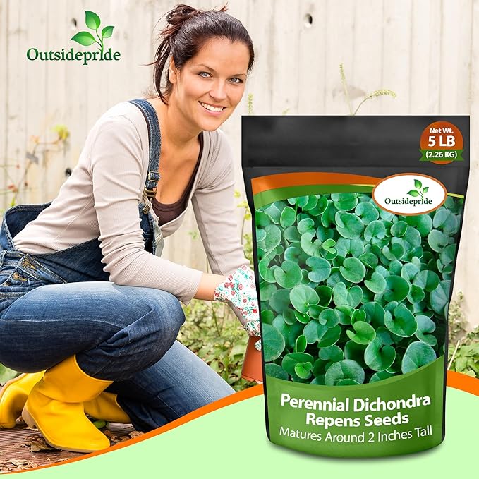 Outsidepride Perennial Dichondra Repens Seeds - 5 lbs Dense Green, Low-Maintenance Ground Cover Seeds for Planting, Ideal Lawn Alternative in Sun or Shady Areas & Erosion Control in USDA Zones 8-11