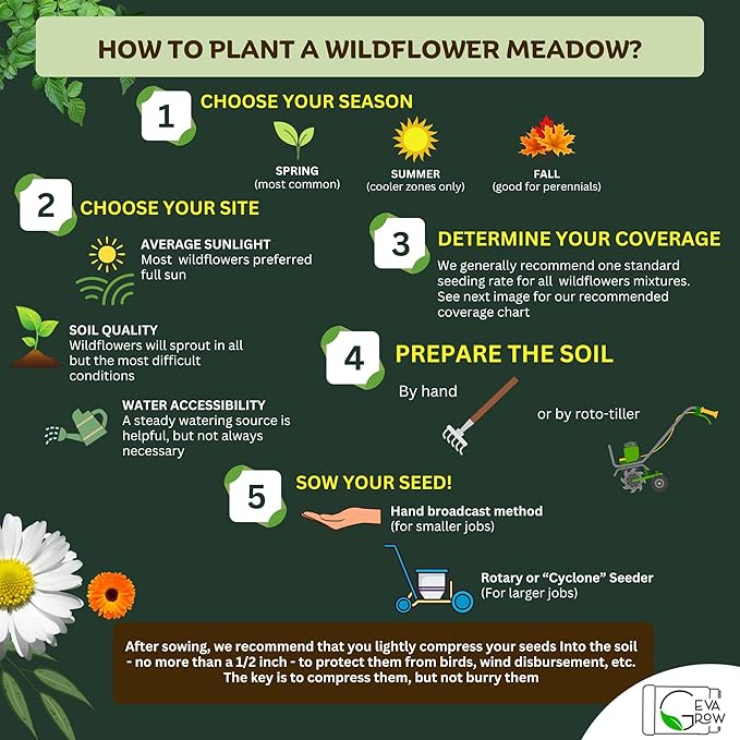 Mini Wildflower Seed Shaker – Honey Bee Wildflower Mix, by GevaGrow | Bulk 90,000+ Seeds | Pollinator Bee Attracting Flower Seeds for Planting in Pots & Outdoor Gardens | No Messy Packets