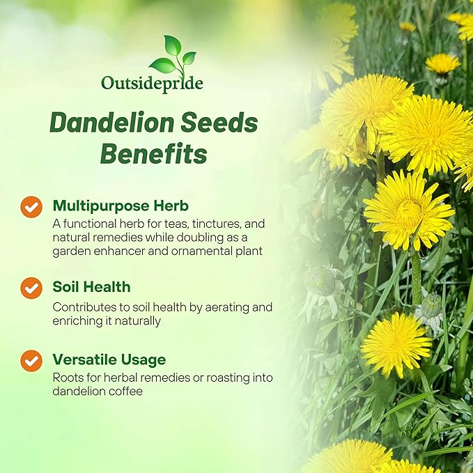 Outsidepride Dandelion Seeds for Planting - 5,000 Seeds Perennial, Easy to Grow & Drought Tolerant, Taraxacum Officinale Herb Seeds with Yellow Blooms for Edible Landscaping & Wildlife Attraction