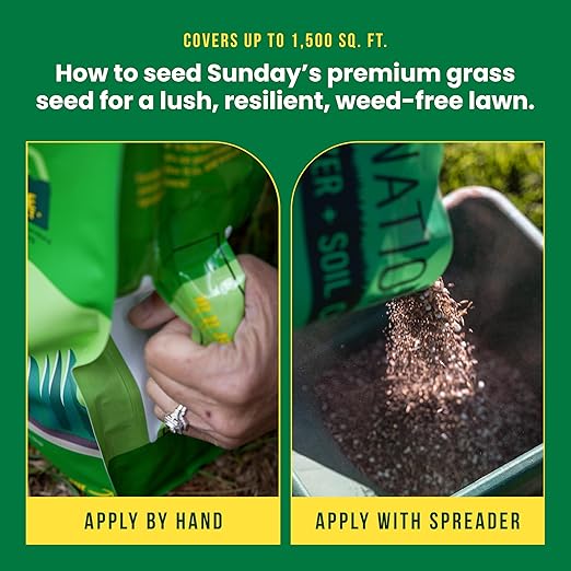 Sunday South Seed + Feed – Heat-Tolerant Grass Seed and Fertilizer for Southern Lawns - 9-0-2 NPK Mic - 10lbs