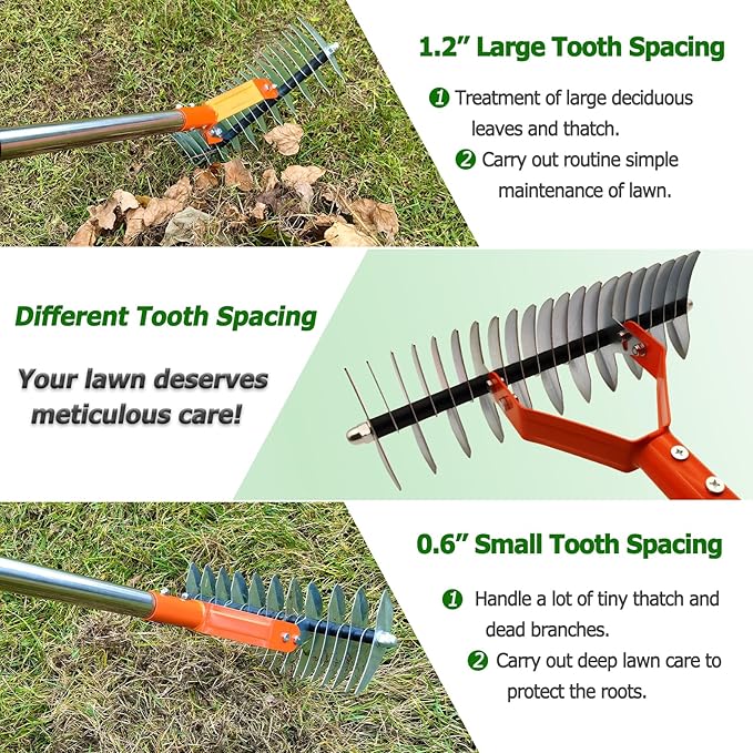 Thatch Rake,Lawn Thatcher Rake with Different Tooth Space, 68" Adjustable Length Thicker Handle for Cleaning Fallen Leaves, Lawn Renovation Care and Loosening Soil