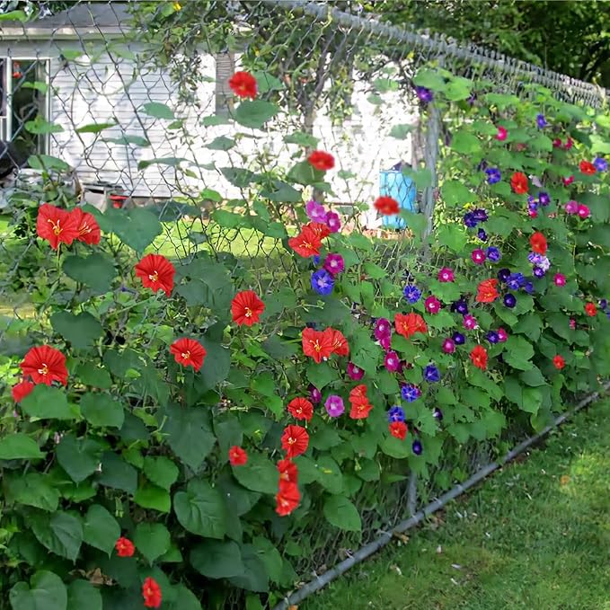CISDUEO 2 Pcs Artificial Vines Silk Morning Glory Vines for Outdoor 15Feet Hanging Plants Garland Red Fake Green Plant Morning Glories for Home Decor Wall Fence Stairway Wedding Hanging Baskets