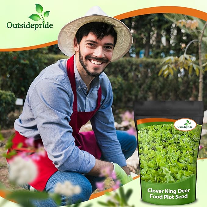 Outsidepride Perennial Clover King Seed Mix - 20 lbs Nitrocoated, Inoculated, Heat & Cold Tolerant, Alfalfa-Enhanced Food Plot Seeds for Deer & Wildlife, Ideal for Spring, Summer, & Winter Plots