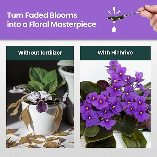32oz African Violet Fertilizer for African Violets Live Plants - Makes 48 Gallons of Indoor Plant Food for Houseplants, Balanced Macro & Micronutrients Formula for Vibrant Blooms & Lush Foliage
