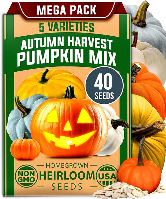 HOME GROWN 5 Pumpkin Seeds Mix - 40 Seeds Heirloom Pumpkin for Planting Ideal Garden for Unique Varieties Yellow Paris and Casper, Culinary and Decorative Use