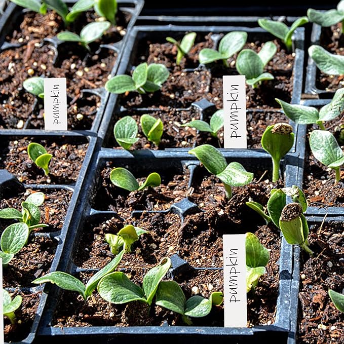 Foraineam 1000 Pcs 4 Inches Plant Labels Plastic Plant Tags Nursery Garden Labels Pot Marker Garden Stake Tags (Pack of 2)
