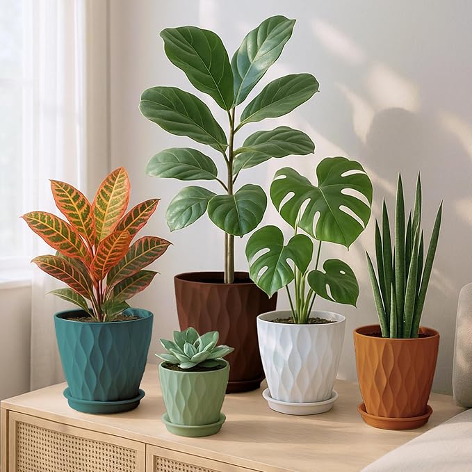 Plastic Plant Pots with Drainage Holes and Saucers, 8/7/6/5/4 Inches Garden Plant Flower Pots for Indoor Planter, 5 Pack Nursery Planting Pot for Indoor & Outdoor House Plants (Multicolor, 8/7/6/5/4)