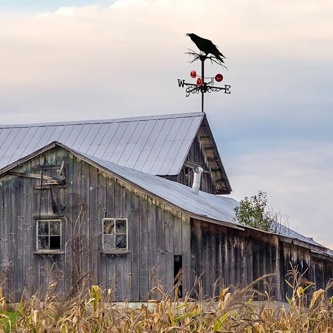 Weathervane Roof Mount, Rust-Resistant & Durable Metal Wind Direction Indicators, Decor Weather Vane for Yard, Outside, Garden, Shed, Farmhouse & Chicken Coop (Crow)
