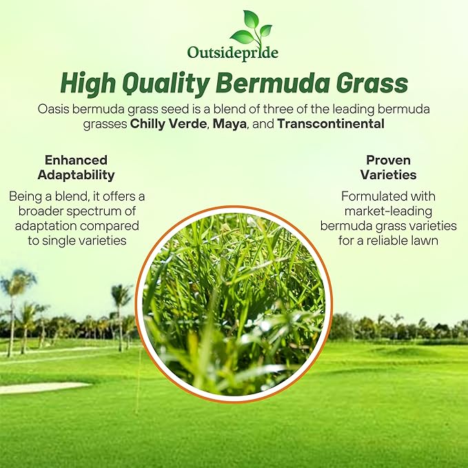 Outsidepride Oasis Bermuda Grass Seed - 10 lbs Warm Season, High Traffic, Heat Resistant, Drought-Tolerant, Low-Maintenance, Fast Growing Turf Grass for Lawn, Ideal for Sunny Areas, Thick Coverage