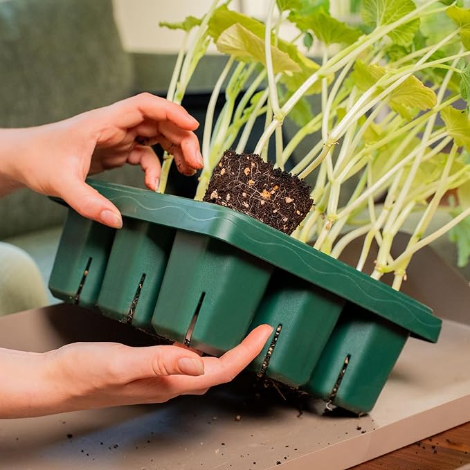 Vego garden Giga Seedling Trays - 2 Pack, 9-Cell UV-Resistant Reusable Starter Trays for Greenhouse/Garden (No Lids)