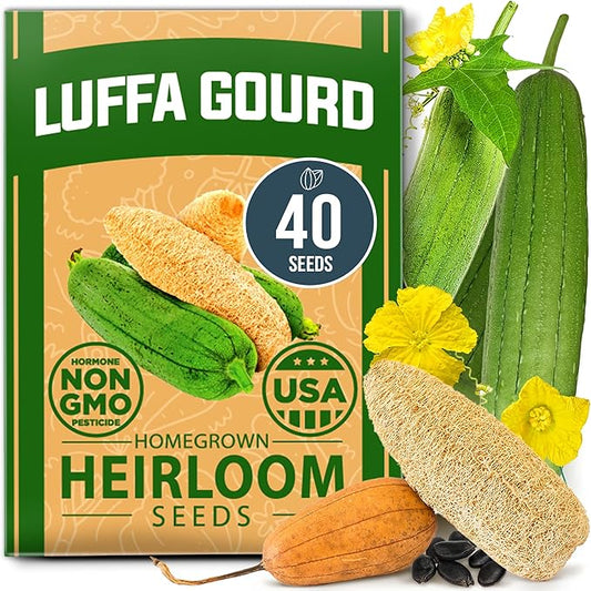 HOME GROWN Luffa Seeds (Luffa aegyptiaca) 40 Heirloom Loofah Gourd Seeds for Planting High Germination Rate - Make Sponges or Harvest Young Loofahs for Eating