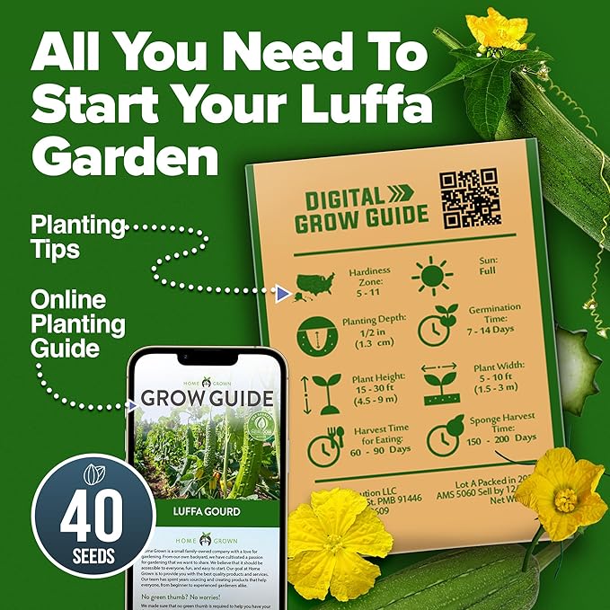HOME GROWN Luffa Seeds (Luffa aegyptiaca) 40 Heirloom Loofah Gourd Seeds for Planting High Germination Rate - Make Sponges or Harvest Young Loofahs for Eating