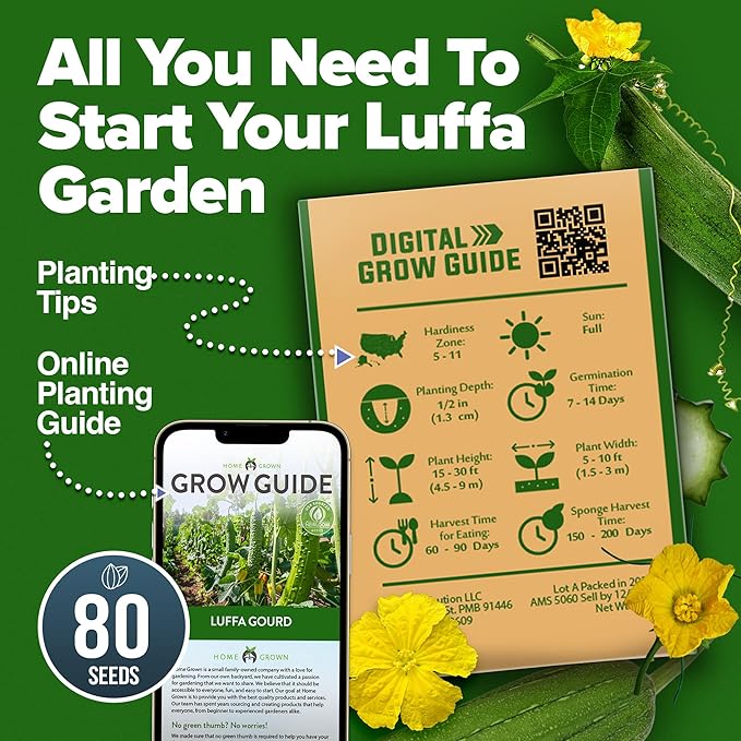 HOME GROWN Luffa Seeds 2 Pack(Luffa aegyptiaca) 80 Heirloom Non GMO Loofah Gourd Seeds for Planting High Germination Rate - Make Sponges or Harvest Young Loofahs for Eating