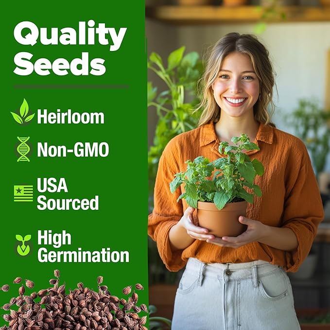HOME GROWN Catnip Seeds (Bulk Pack) Non GMO Heirloom Herb 2,116 Seeds - Indoor or Outdoor Seed - High-Germination Cat Nip - Cat Safe Plants (Nepeta cataria)