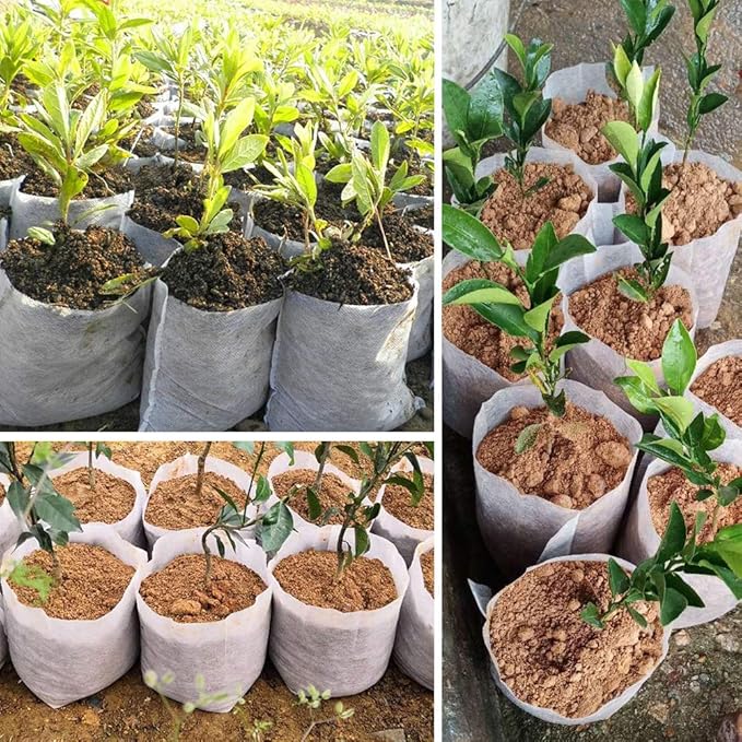 Belit Large Non-Woven Plant Nursery Bags, 30 Pcs Grow Bags Seedling Pots Container for Tree,Vegetable, Flower, Plant Grow (12.6"x13.4")