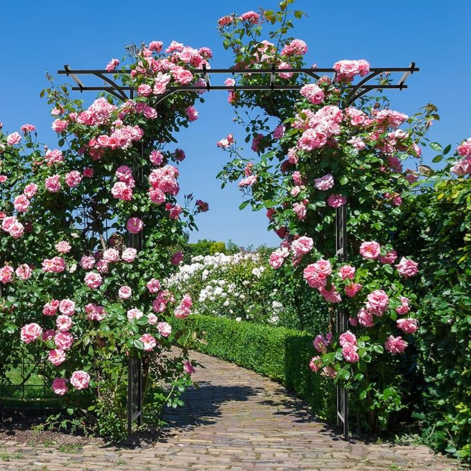 Moccha Garden Arbor, 6.8FT Metal Arbor Trellis for Climbing Plants, Roses, Vines, Outdoor Pergola with Trellises & Extended Roof, Garden Arch for Wedding Ceremony Decoration Lawn Patio Archway