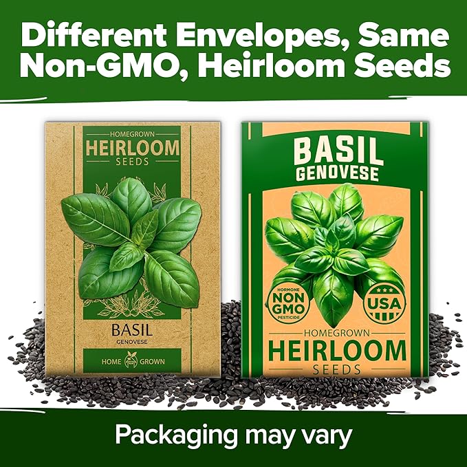 HOME GROWN Genovese Basil Seeds Pack 1,750+ High Germination Heirloom Seeds (Ocimum basilicum) Herb Seeds for Planting Indoor & Outdoor Gardening, for Culinary Use