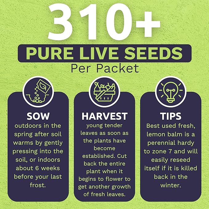 Sweet Yards Seed Co. Organic Lemon Balm – Two Seed Packets! – Approx. 620 Open Pollinated Non-GMO Herb Seeds