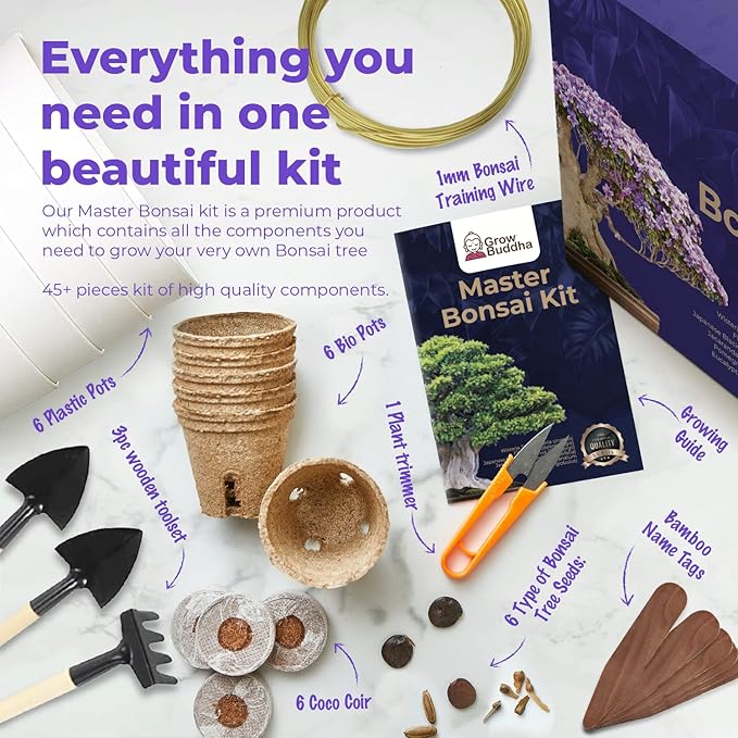 Grow Your Own Bonsai kit | Tree Plants & Seeds | Crafts Hobby Kits | Easily Grow 4 Types of Bonsai Trees with Our Complete Beginner Friendly Kit | Christmas Gift Ideas for Plant Lovers
