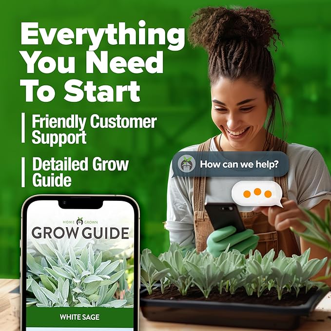HOME GROWN White Sage Seeds 323 Pack Heirloom Seeds - Grow Aromatic Sage Plants for Your Herb Seeds Garden with Sage for Planting Outdoor or Indoor (Salvia apiana)