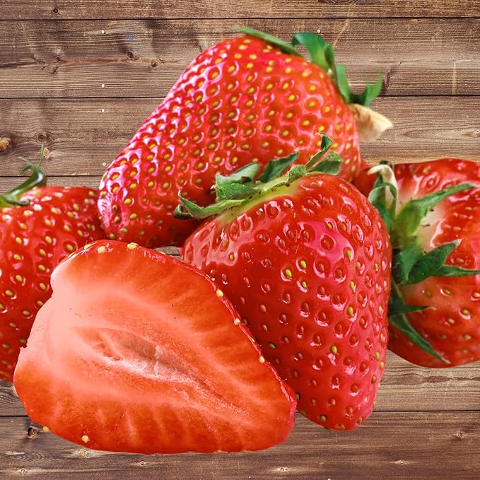 Seascape Strawberry Plants - Great for Planters - Day Neutral (Heavy Producer) - Bare Root Strawberry Plants from Hand Picked Nursery (50)