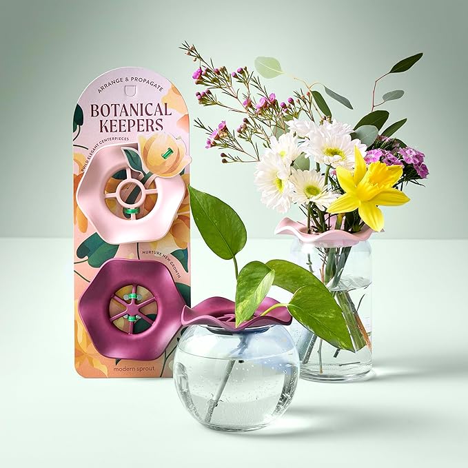 Modern Sprout Botanical and Produce Keeper for Floral Arranging, Herb Keeping, and Plant Propagation - Food Safe and BPA-Free, Sustainable Materials, Hydration Tray - Extends Freshness - 2 Pack