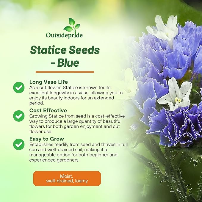 Outsidepride Blue Statice Flower Seeds - 2000 Pcs Annual Easy to Grow Drought Tolerant Flower Seeds for Floral Arrangements, Borders, & Pollinator Garden