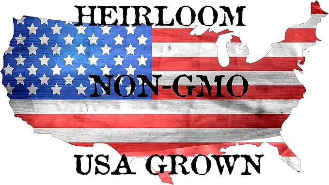20 Big Max Pumpkin Seeds for Planting - Heirloom Non-GMO USA Grown Premium Vegetable Seeds for Planting - Grows Big Giant Pumpkins up to 100 lbs! Grown for Pies and Halloween Jack O Lanterns