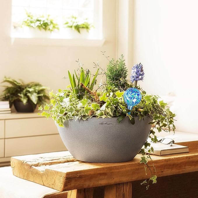 Plant Watering Globes Set of 6 – Large Glass Bulbs (up to 7 Days of Watering) for Indoor & Outdoor Plants – Multicolor - Self-Watering