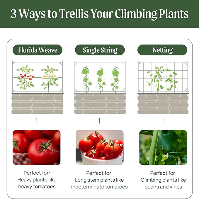 Vego Garden Metal Frame Tomato Trellis, Garden Trellis for Climbing Plants Like Cucumber Beans Tomatoes & Vines, 8.0ft Long Metal Trellis for Raised Garden Beds